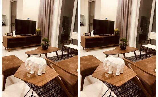 apartment for rent in binh thanh district BT105L2296 (5)